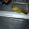 IMAG1221.JPG
