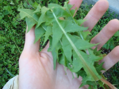 Greens! Greens!