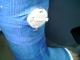 PTB cast #1