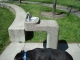 Free water!