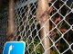 Disobedient Nature?