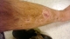 Left Leg, new angle