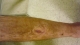 Left Leg, new new angle