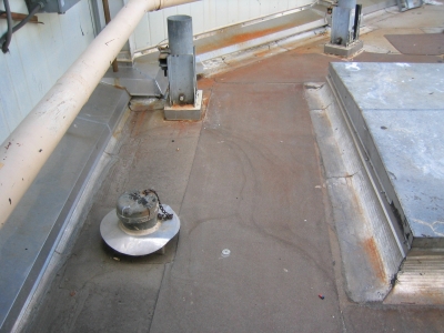 IMG_8066.JPG IMG_8066.JPG