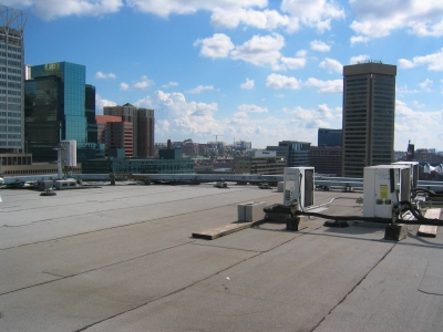 IMG_8081.JPG IMG_8081.JPG