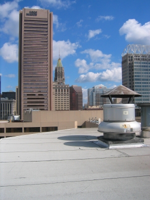 IMG_8082.JPG IMG_8082.JPG