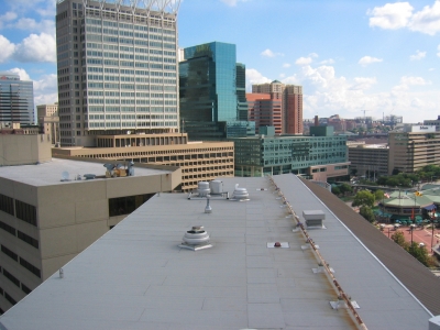 IMG_8084.JPG IMG_8084.JPG