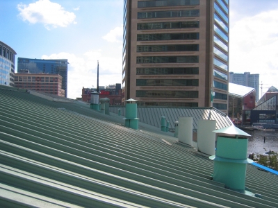 IMG_8105.JPG IMG_8105.JPG