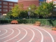 IMG_8316.JPG