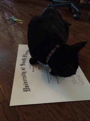 cat bed.jpg