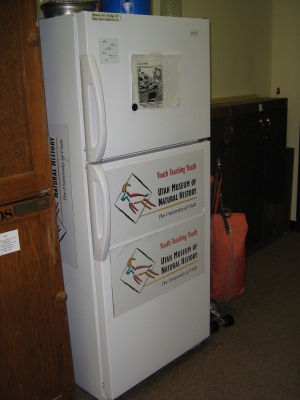 the freezer