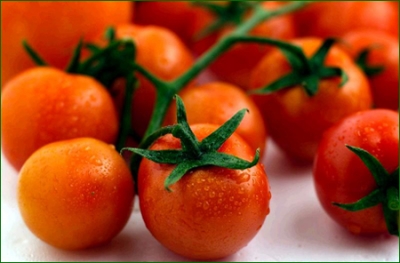 tomato-cluster.jpg