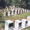 09 apiary.jpg