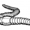 Earthworm.jpg Earthworm.jpg
