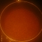 pot of lentil.JPG