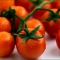 tomato-cluster.jpg tomato-cluster.jpg