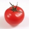 Tomato.jpg