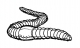 Earthworm.jpg