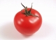 Tomato.jpg