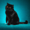88e63e4a.gif