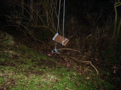 The Other Swing