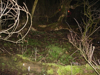 The Clearing
