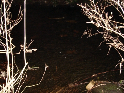 A River