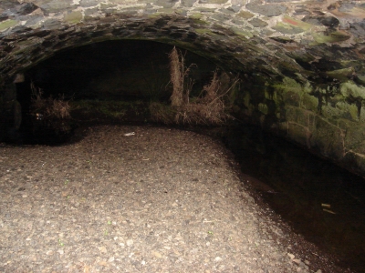 Under the Bridge
