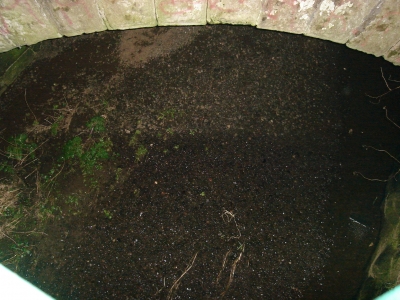 DSC00509.JPG