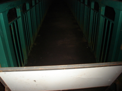 Bridge 2