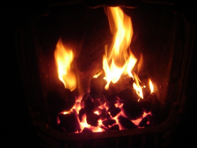 Flea's Fire Flea's Fire