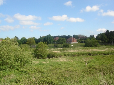 DSC00894.JPG