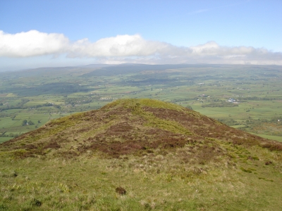 The Camera is not Tilted