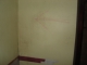 DSC00501.JPG