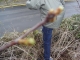 DSC00585.JPG