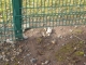 DSC00628.JPG