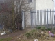 DSC00633.JPG