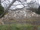 DSC00642.JPG
