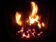 Flea's Fire