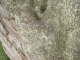 Barely Visible... Barely Visible...