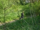 Path Path