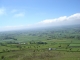 The View