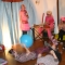 we are pink