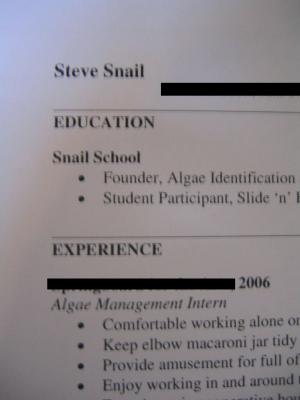 resume.JPG