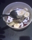 Slice of Banana