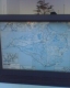 Isle of Wight.JPG