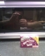 Jelly