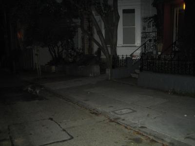 IMG_0520.jpg