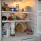 cat in fridge