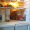 cat in fridge 2